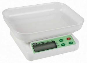 REED GM-600G Digital Scale, 21oz (600g)-
